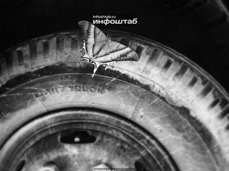 Астраханским многодетным семьям будет легче ездить на такси