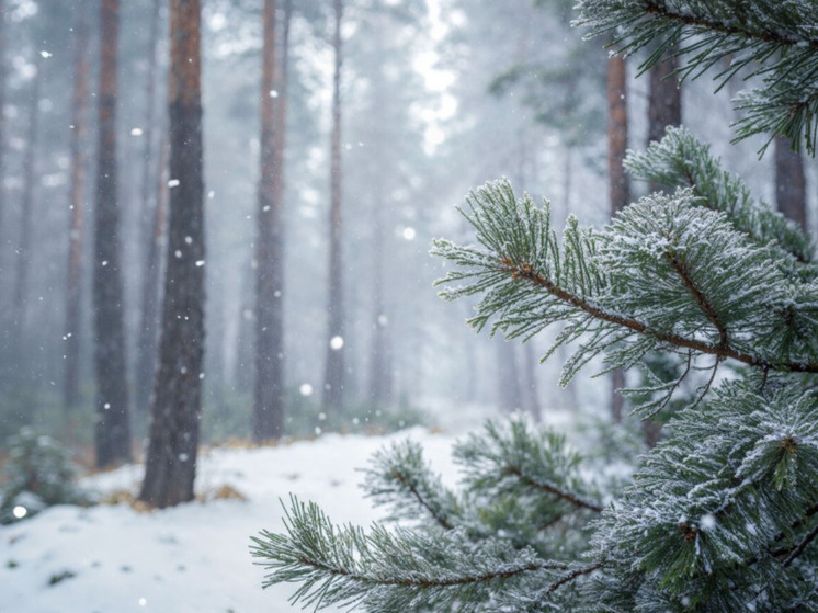 В Сургуте и Ханты‑Мансийске ожидается резкое похолодание: к четвергу — до −29 °C