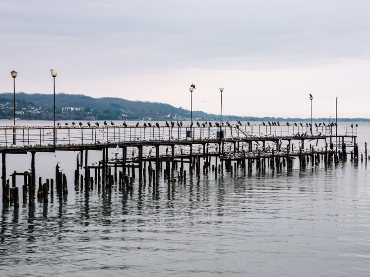 Фидан: Турция возьмёт на себя ответственность за безопасность в Чёрном море