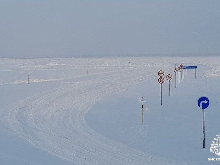 Вторая ледовая переправа открылась на Новосибирском водохранилище