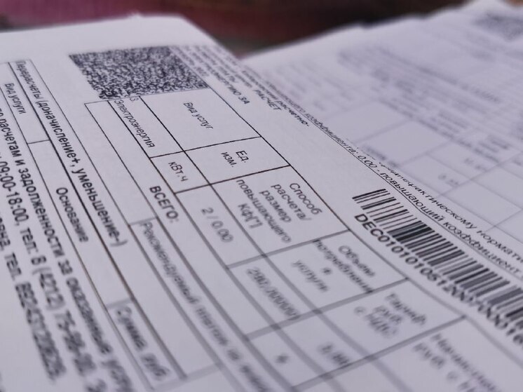 Хабаровчане должны оплатить ЖКУ за декабрь до 12 января