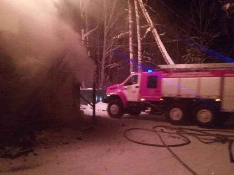 Пожилой мужчина погиб при пожаре в алтайском селе