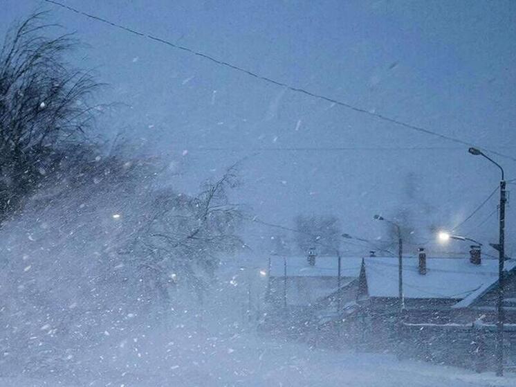 МЧС предупредило жителей 11 районов Сахалина о сильной метели 8 января