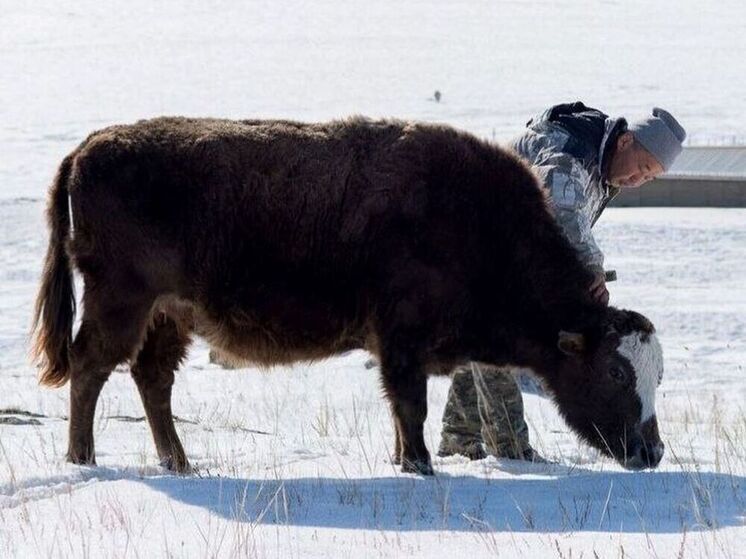 Агротуризм будет развивать КФХ из Ольхонского района