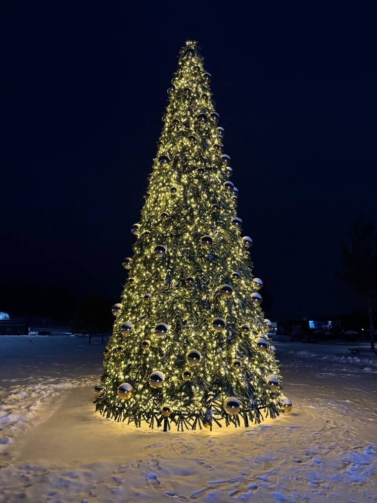 В ЛНР более 50 детей получили подарки в рамках акции «Армейская ёлка желаний»