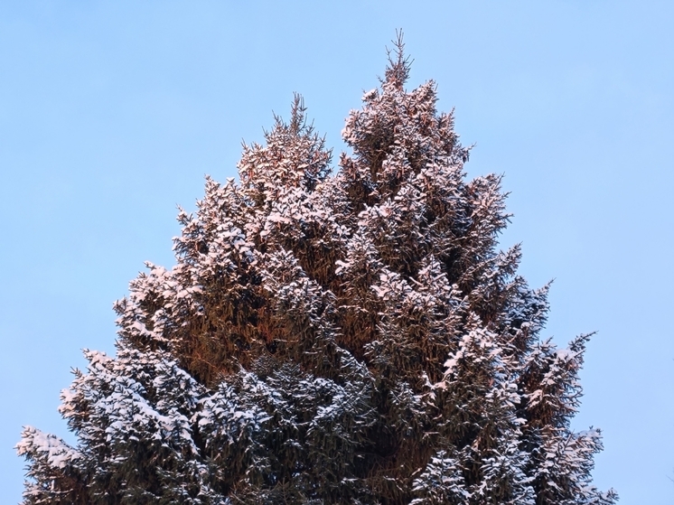 Погода в Тверской области встретит жителей холодами