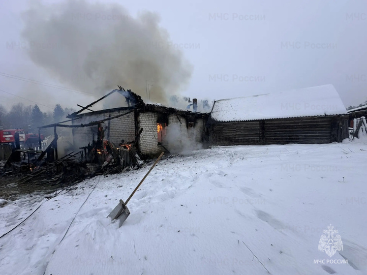 В брянском селе Алешинка сгорел частный дом