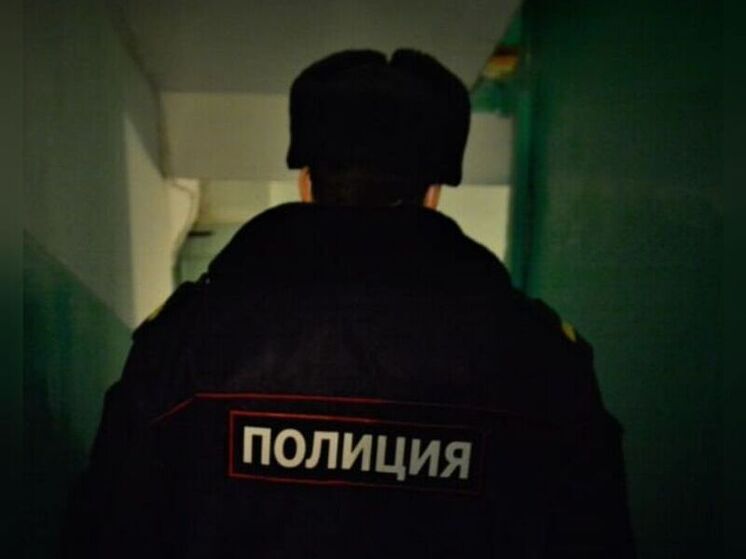 В Каменском районе задержали приятеля, укравшего у хозяина телефон и автозапчасть