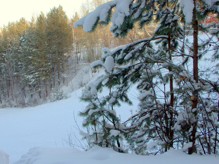 Омские коммунальщики всю Рождественскую ночь боролись со снегопадом
