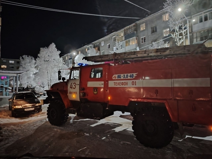 Пожар в многоэтажке на улице Парковой ликвидировали за 19 минут