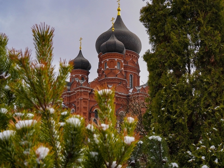 Сильный снег и оттепель прогнозируют на Рождество в Тульской области
