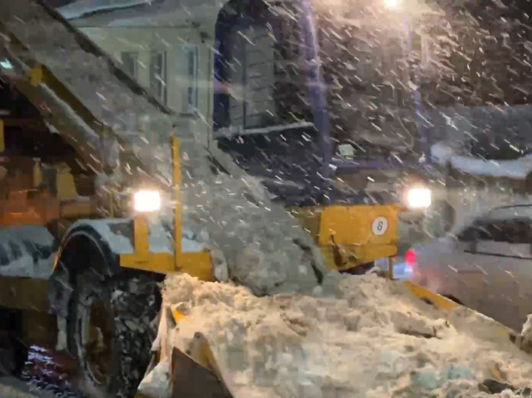 В Липецке и Ельце коммунальные службы ведут усиленную борьбу со снежными заносами