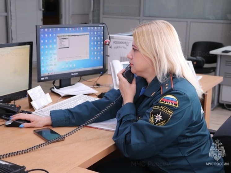 Спасатели Курской области за сутки ликвидировали два пожара, два ДТП и обезвредили взрывоопасный предмет