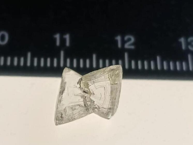 Уникальный алмаз из Поморья может стоить более 10 миллионов рублей