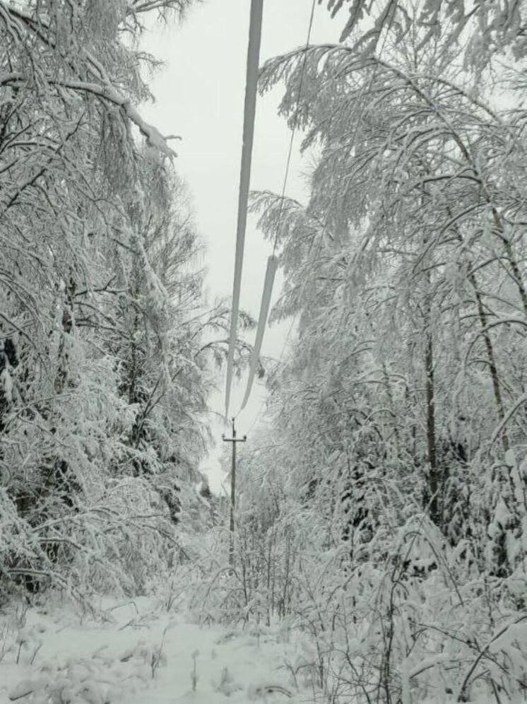 Специалисты «Ярэнерго» контролируют работу электросетевого комплекса в условиях непогоды