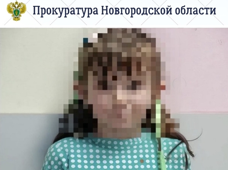В Великом Новгороде проверяют, как девочка без одежды и родителей оказалась на улице