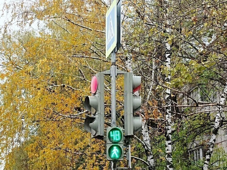 На дорогах Белгородской области установят 12 светофоров в 2026 году