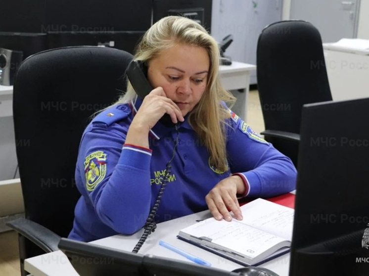 Рождественские богослужения в Курской области прошли без происшествий