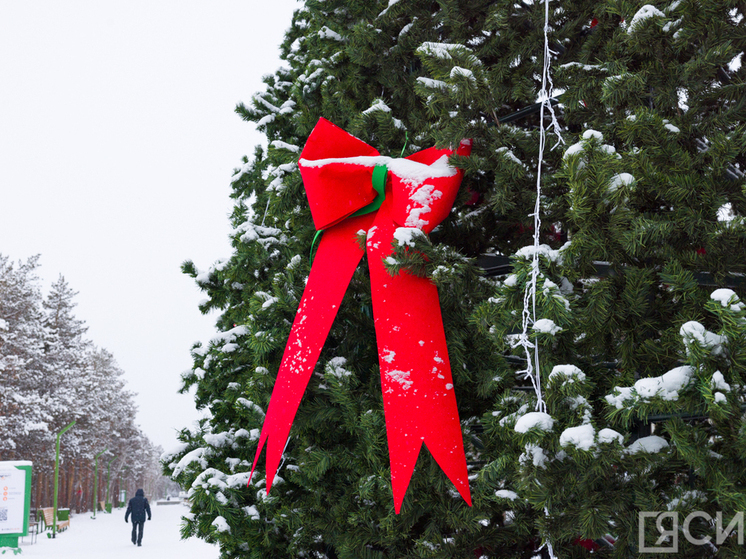 Культурно-образовательный тур «В музей всей семьей» походит до 11 января в Якутске