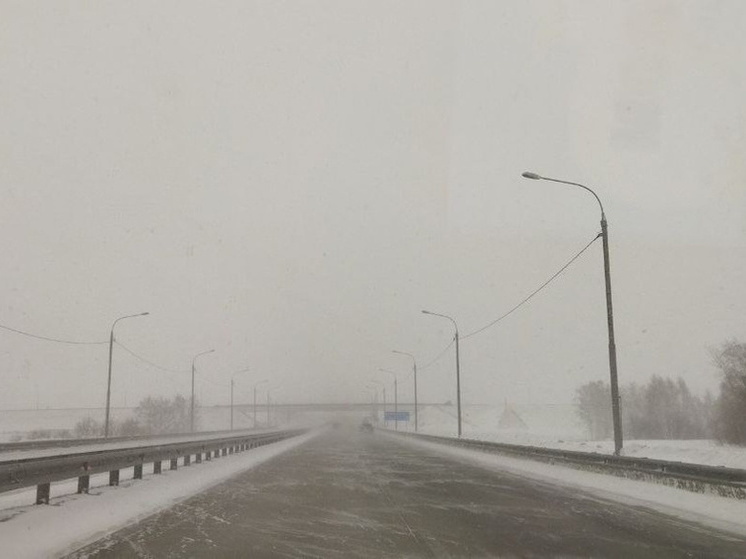 Федеральные трассы Омской области оснастят скоростным интернетом