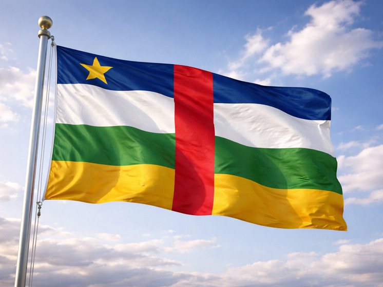 Туадера: ЦАР хотела бы вместе с РФ открыть центр подготовки операторов БПЛА