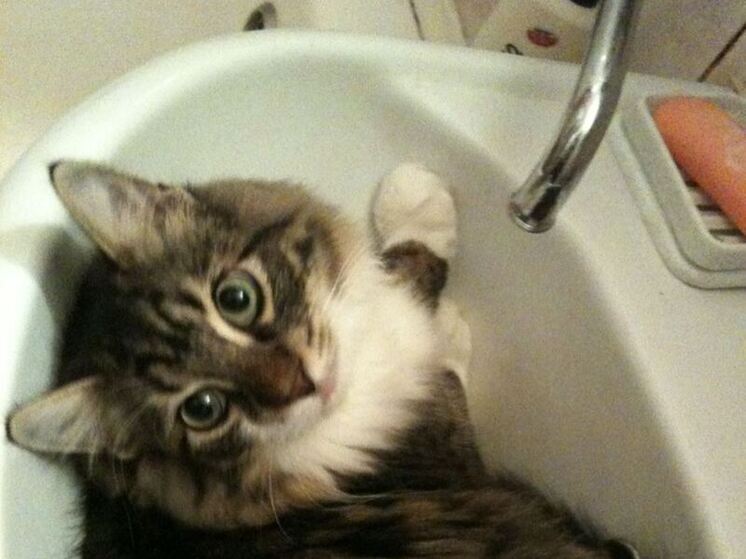 В городе Никольское аварийно отключат воду 7 января