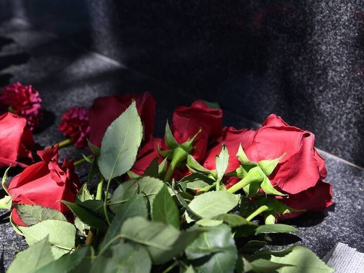 Мужчина погиб при детонации дрона в Борисовском округе