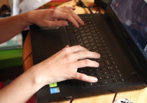 За 11 месяцев прошлого года зафиксировано снижение числа киберпреступлений на 10,8% по сравнению с аналогичным периодом 2024-го