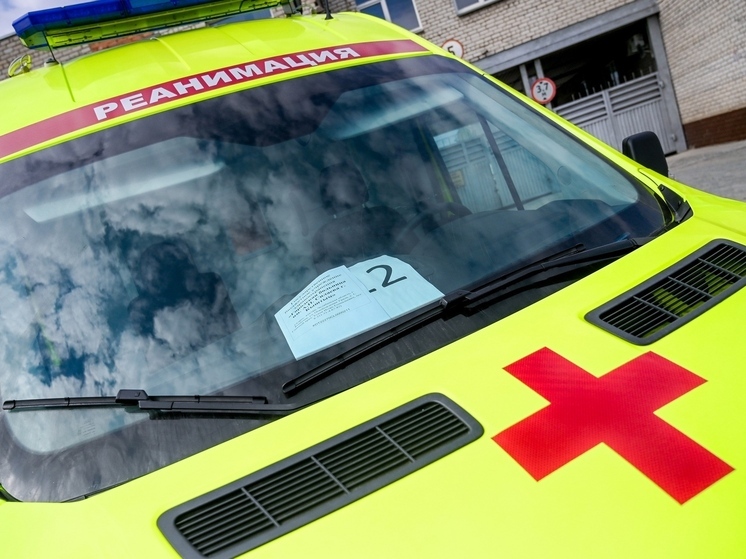 Двое детей погибли на трассе в Челябинской области