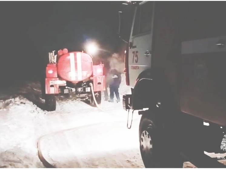 В Елабужском районе на пожаре погибли отец и сын