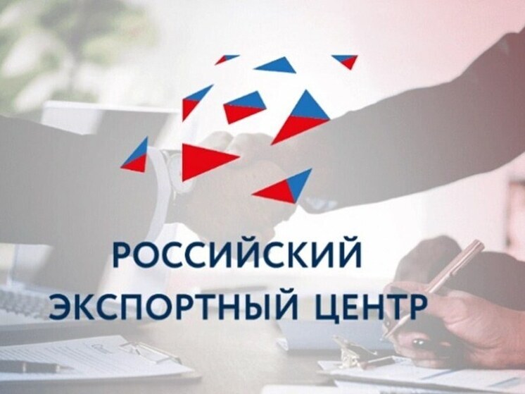 Пензенская область досрочно выполнила план по созданию экспортной инфраструктуры