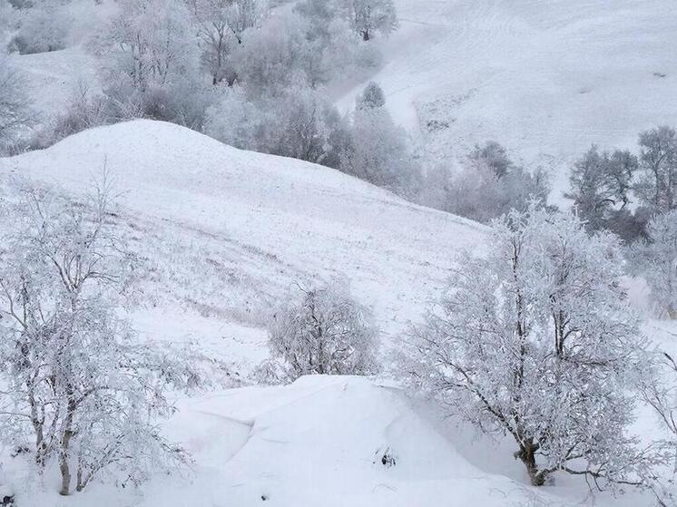 Как сделать катание на тюбинге безопасным для детей и взрослых