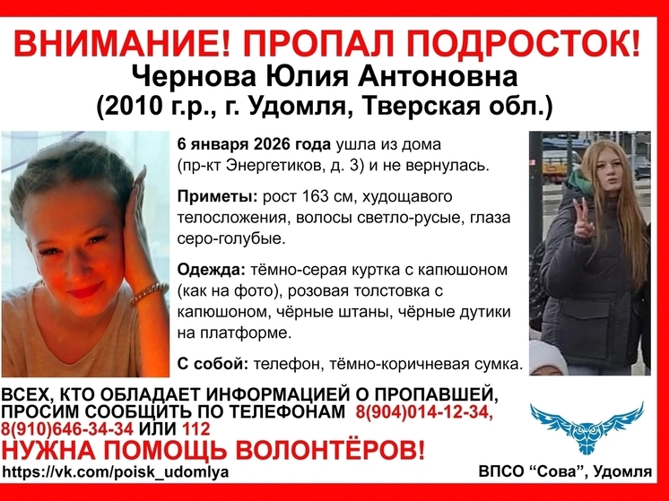 15-летняя девочка-подросток пропала в Тверской области