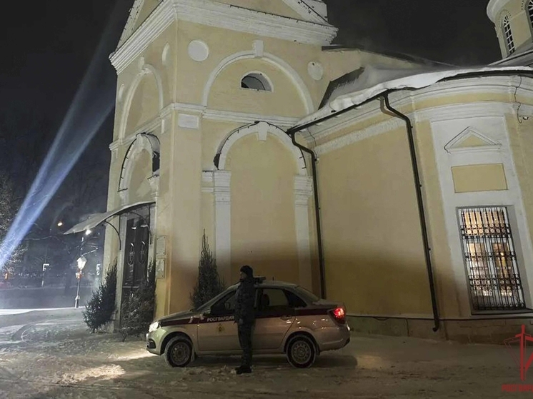 Рождественская ночь в Тульской области обошлась без происшествий