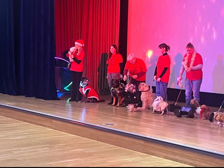 Василий Анохин сообщил о проведении Рождественской елки в Смоленске для 800 юных жителей региона