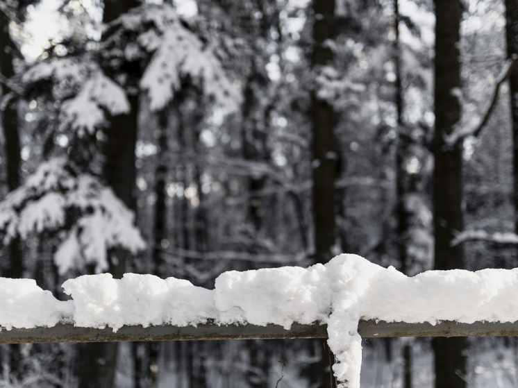 Гололёд и похолодания до -15°С: погода в Томской области 8 января