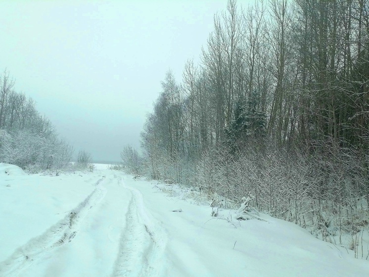 Водителей предупреждают: ухудшение видимости на дорогах привело к гибели двух человек на трассах Вологодчины