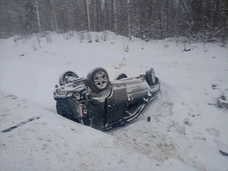 В Череповецком округе в столкновении грузовика и легкового автомобиля погибли два человека