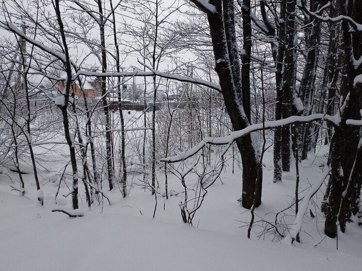 Синоптики пообещали ленинградцам ночное усиление мороза до −23 градусов