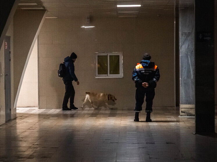 Более тысячи людей нашли волонтеры в Тверской области в 2025 году