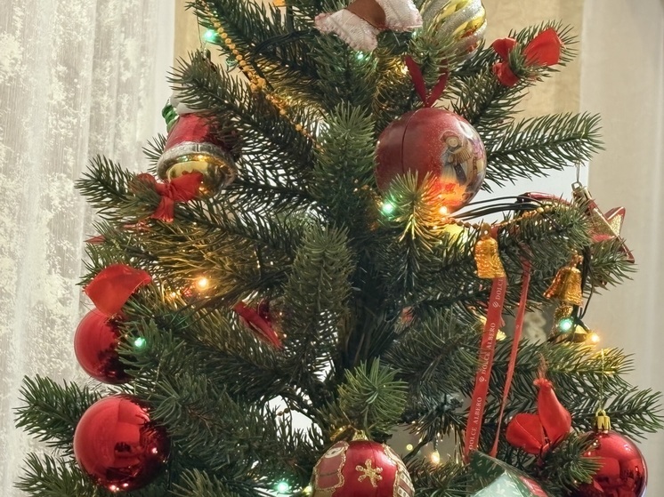 Шестилетний Иван из Приморского округа Запорожья получил горный велосипед благодаря акции «Ёлка желаний»