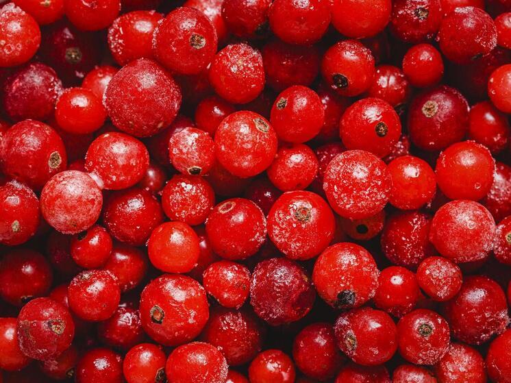 Пензенцам назвали природное средство для защиты от холода и стресса осенью и зимой