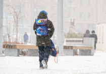 Завершение зимних школьных каникул — не только окончание 12 дней радостных и беззаботных праздников, но и возврат к школьной дисциплине и учебе