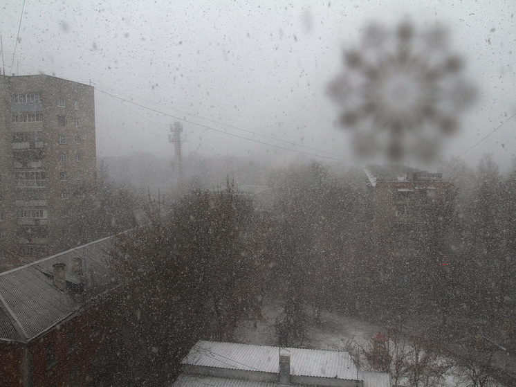 В Подмосковье оцепили двор из-за подрыва гранаты