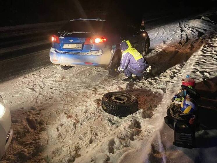 Ферзиковские Госавтоинспекторы помогли автоледи добраться до дома