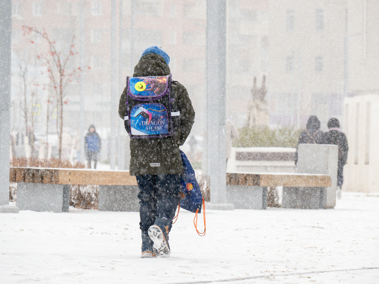 Родителям объяснили, как избежать «каникулярной амнезии» у детей