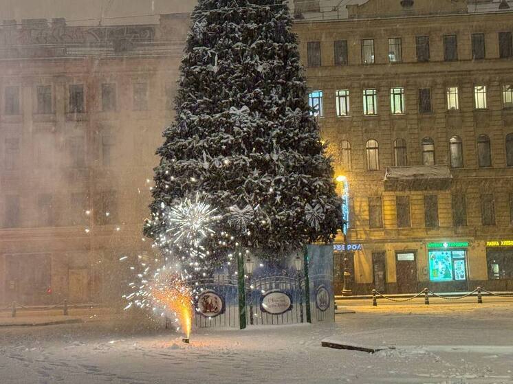 После запуска пиротехники петербуржцам посоветовали закидать коробку снегом