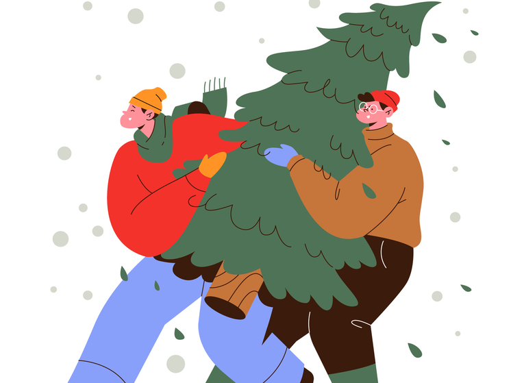 Чтобы год был счастливым: когда тамбовчанам убрать ёлку в 2026 году