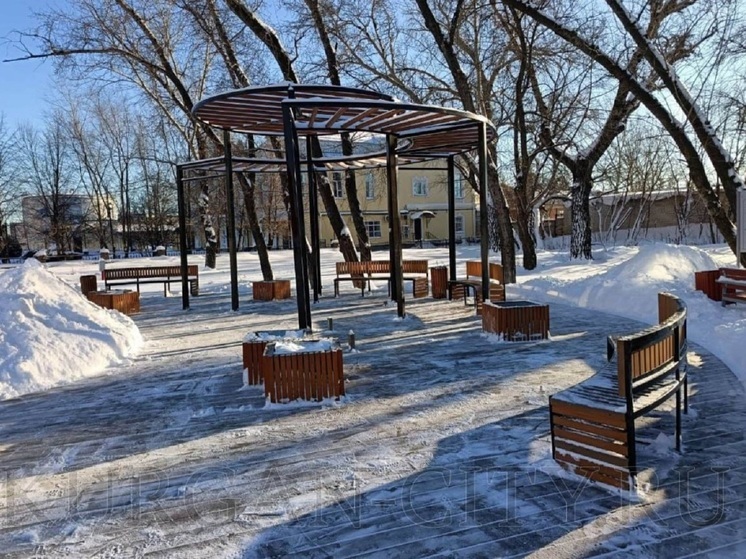 Курган мобилизовал все силы для уборки снега после обильных осадков