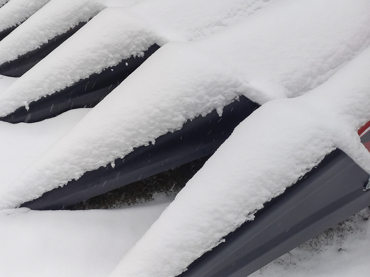 Жителей Москвы попросили не пользоваться автомобилями в четверг